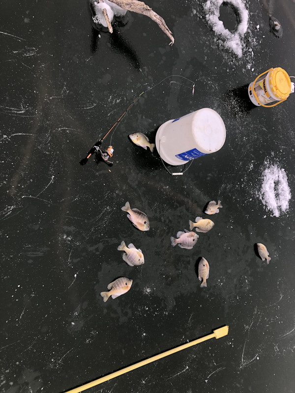 6D2384E2-2F44-4D63-B127-3C7CA62B7D67