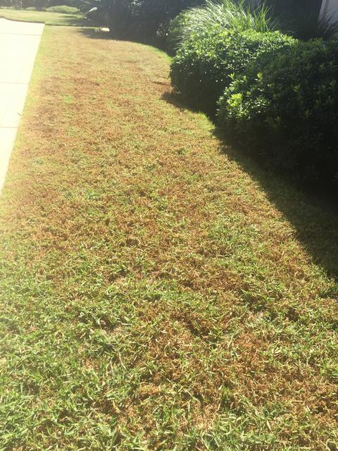 3C1C97B7-5418-4202-8208-649D0D5E6B2A