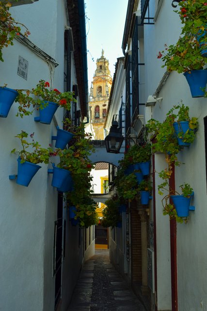 Córdoba y Granada en un verano atípico. - Blogs de España - Domingo 5/07. Palacio de Viana, Iglesias Fernandinas, Alcázar, Mezquita-Catedral (16)