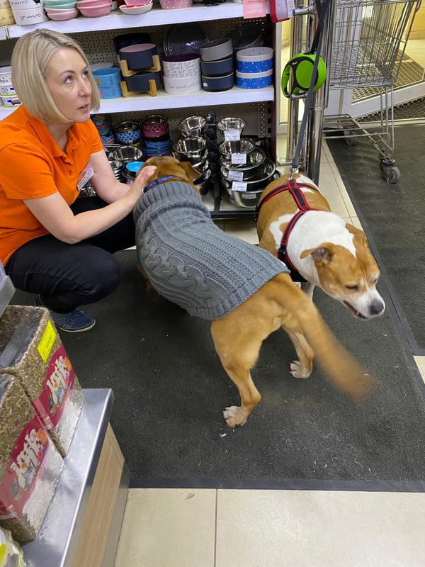 428B59B7-C15C-4AA5-BE73-E4BB5E14F805