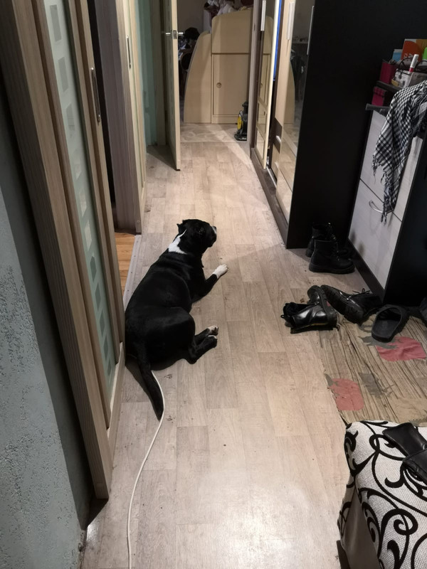 C70C93E6-CB01-417E-A0FA-837CFF5D5983