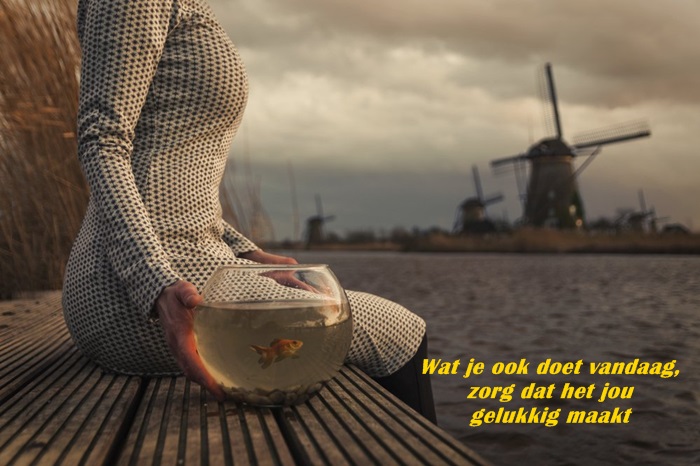 welkom opblog Bunic Jos