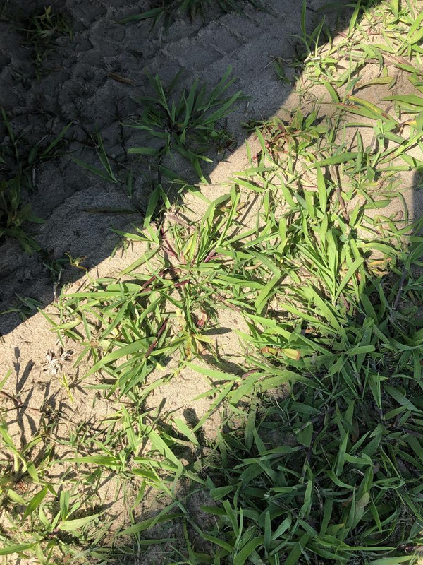 E53C2BFA-633C-4F49-8CC0-422A4CA29B00