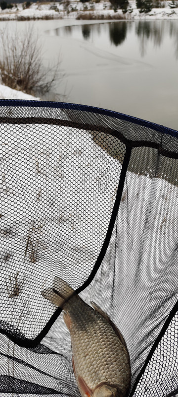 IMG_20230205_144213 (1)