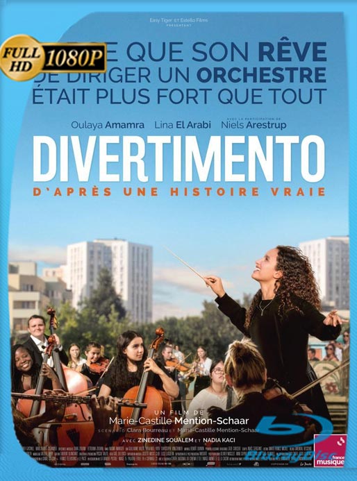 Divertimento (2023) WEB-DL HD 1080p Castellano [GoogleDrive]