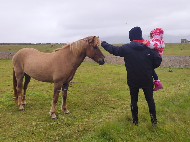 Islandia 2020: En autocaravana y sin coronavirus - Blogs de Islandia - --Día 7 (28 julio): Laguna Secreta - Ytru Tunga (9)