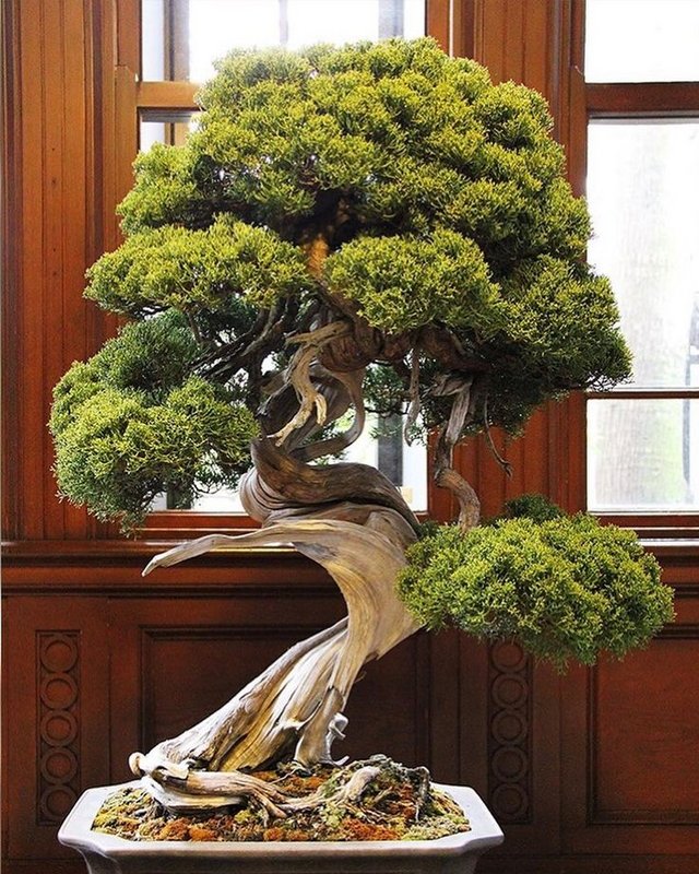 10c6e4ddb0ddf3afe9c13751eb925da3