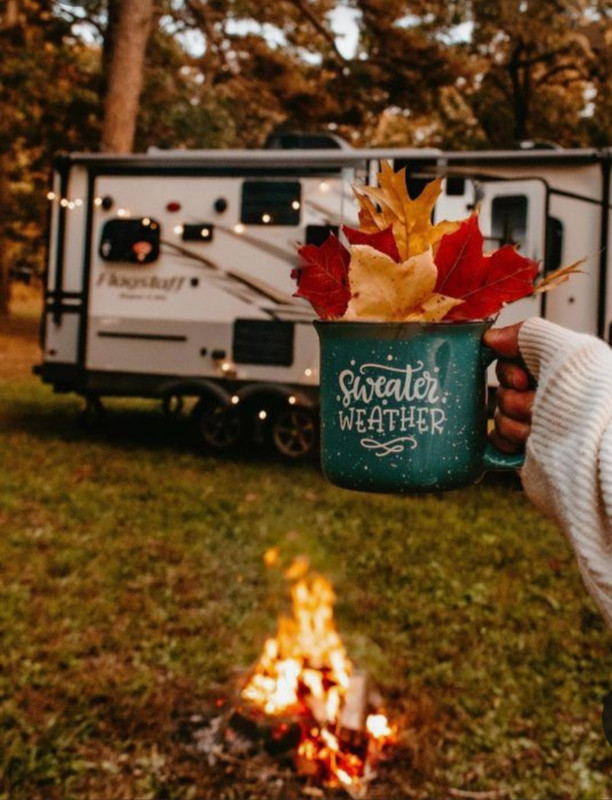 Screenshot_20230301_222441_Pinterest