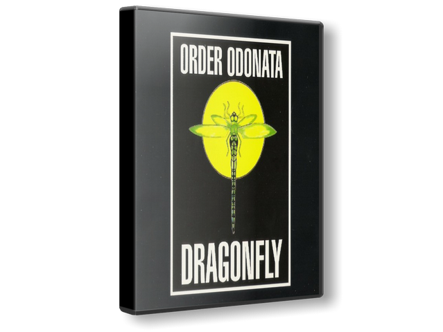 Order-Odonata-1-6-Dragonfly-Records.png