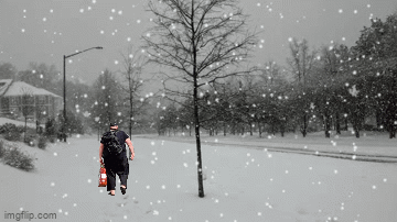 snow.gif