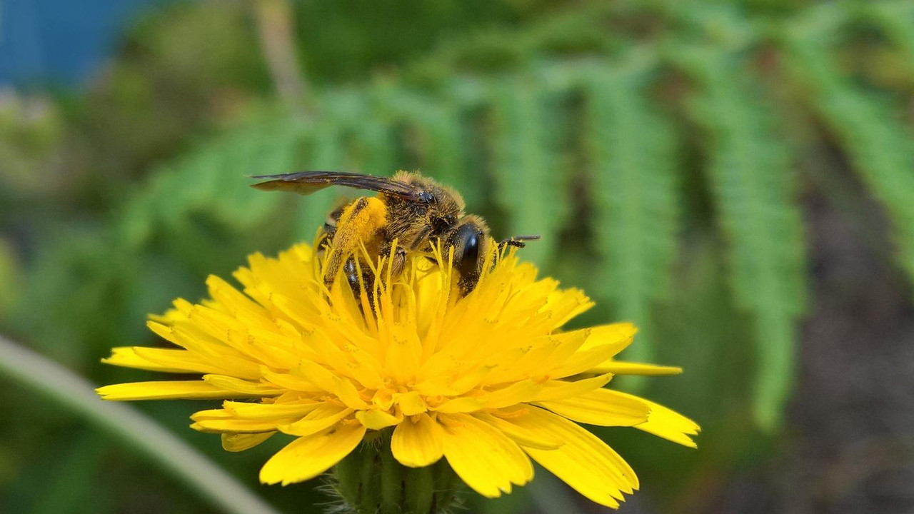 WP_20180605_11_39_35_Pro (2)