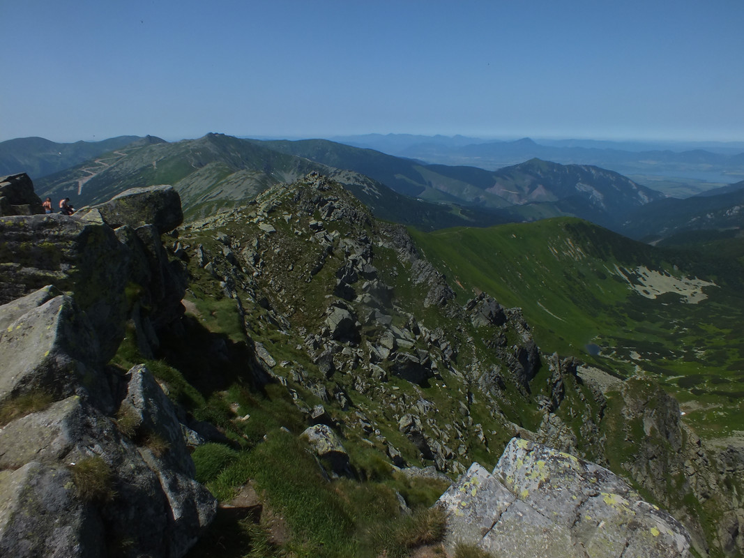2019_0630DUMBIER0105