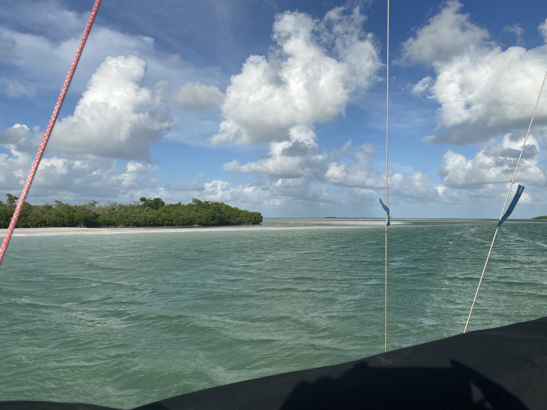 3CCA4EA3-FD61-49A1-96F6-FB6B194FF7F5