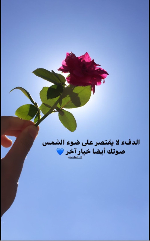 IMG_٢٠٢١٠٦٢٥_١١٠٨١١