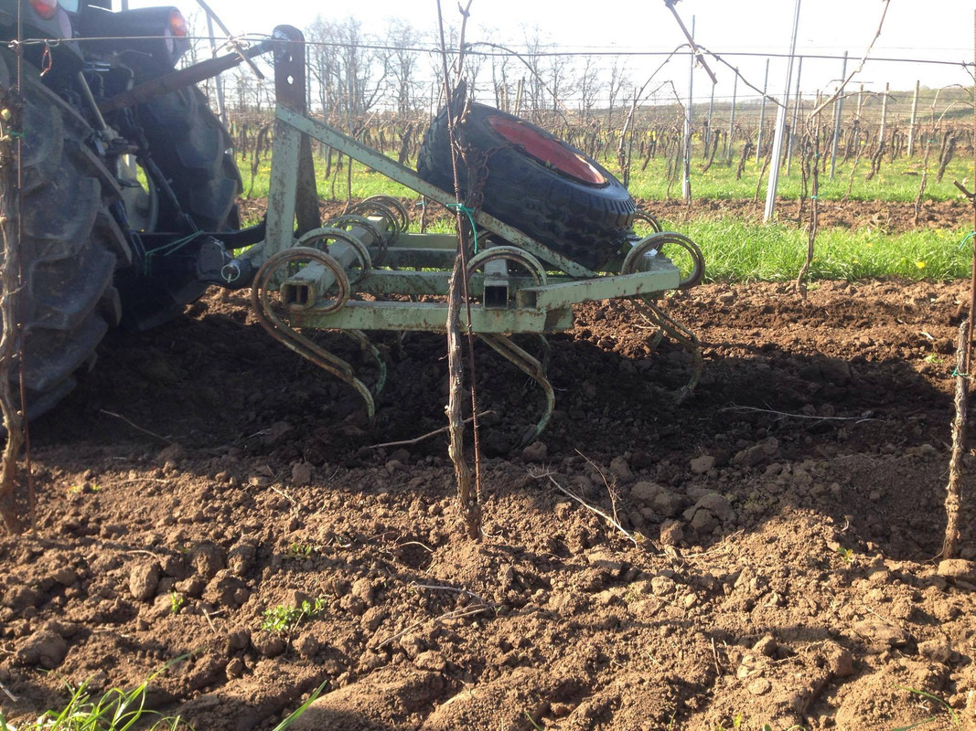 13105928_10204621000883208_1918827310_o