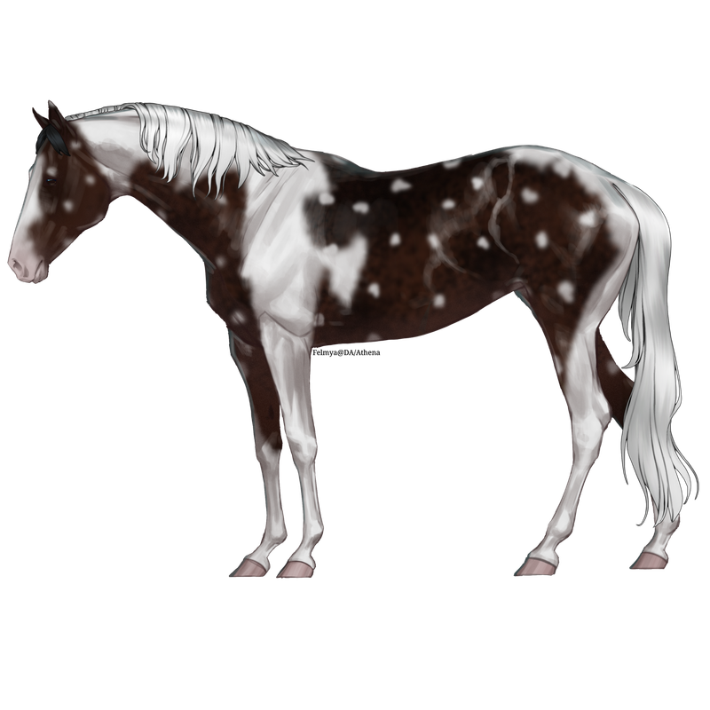 Untitled88-20250713204751.png