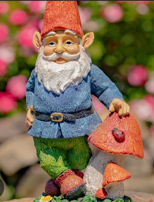 Screenshot_20241214-050736_Google