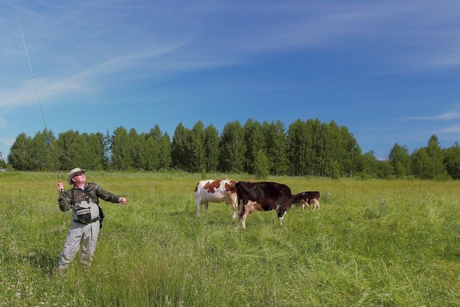 IMG_5737 (Копировать)