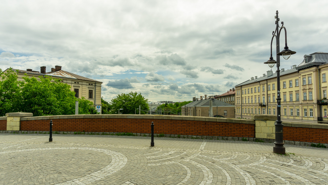 DSC07528.jpg