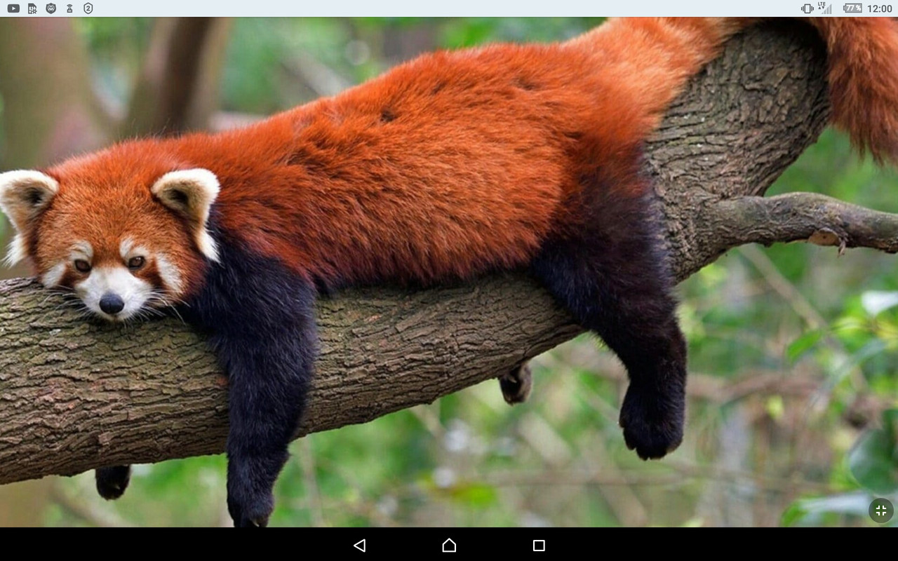 Screenshot_2022-09-17-12-00-31