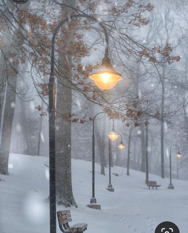 Screenshot_20230314_224025_Pinterest