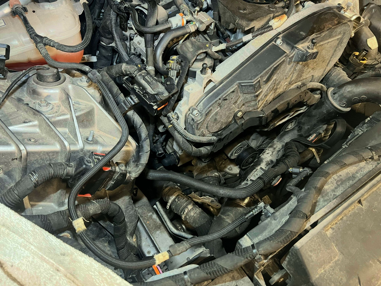 b3561657 6f4a 4847 a496 9a574bbb13c0