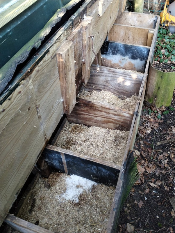 IMG_20250203_143307789