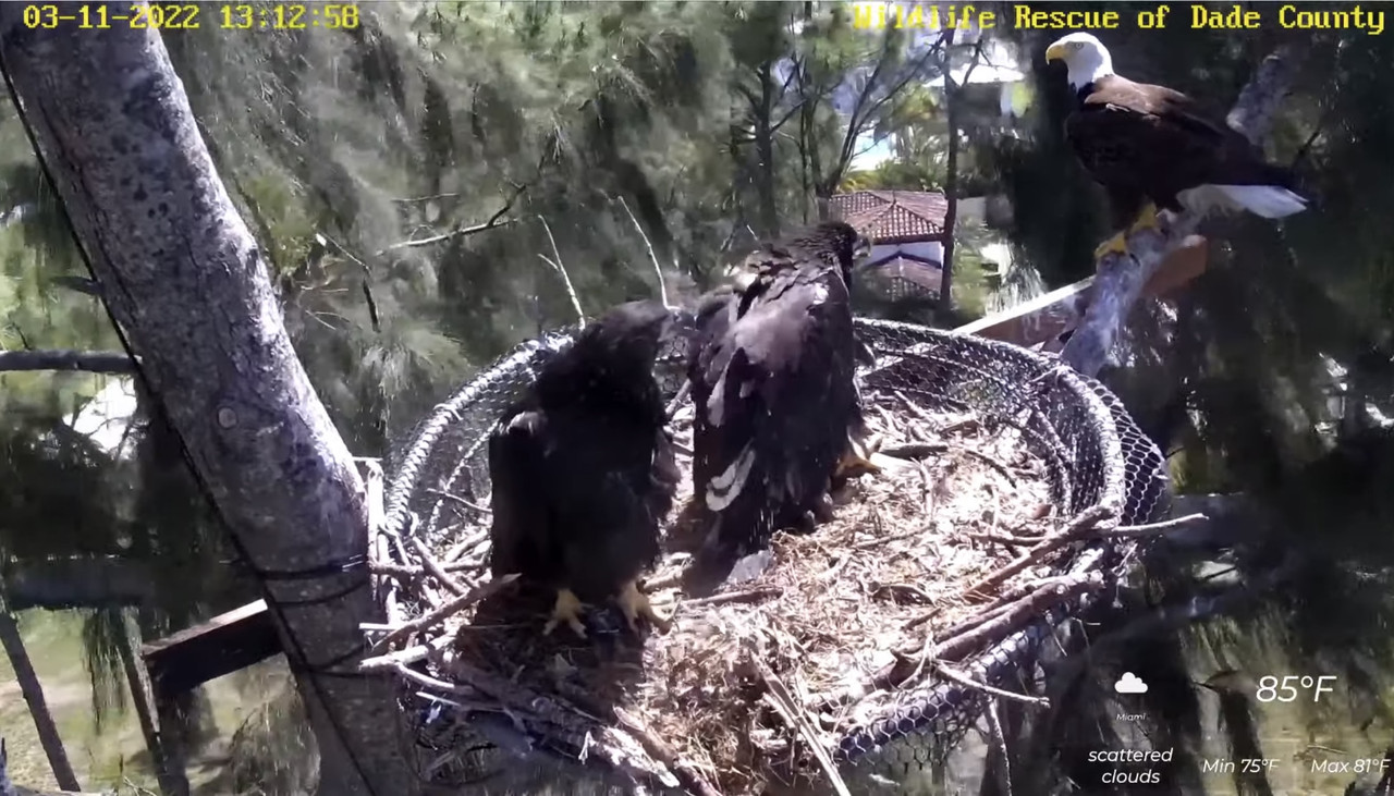 3DA5462F-02F8-420E-AEA9-36EA714480D1