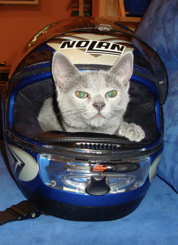 958679C9-65CD-4E08-9487-D245EB0C7C08