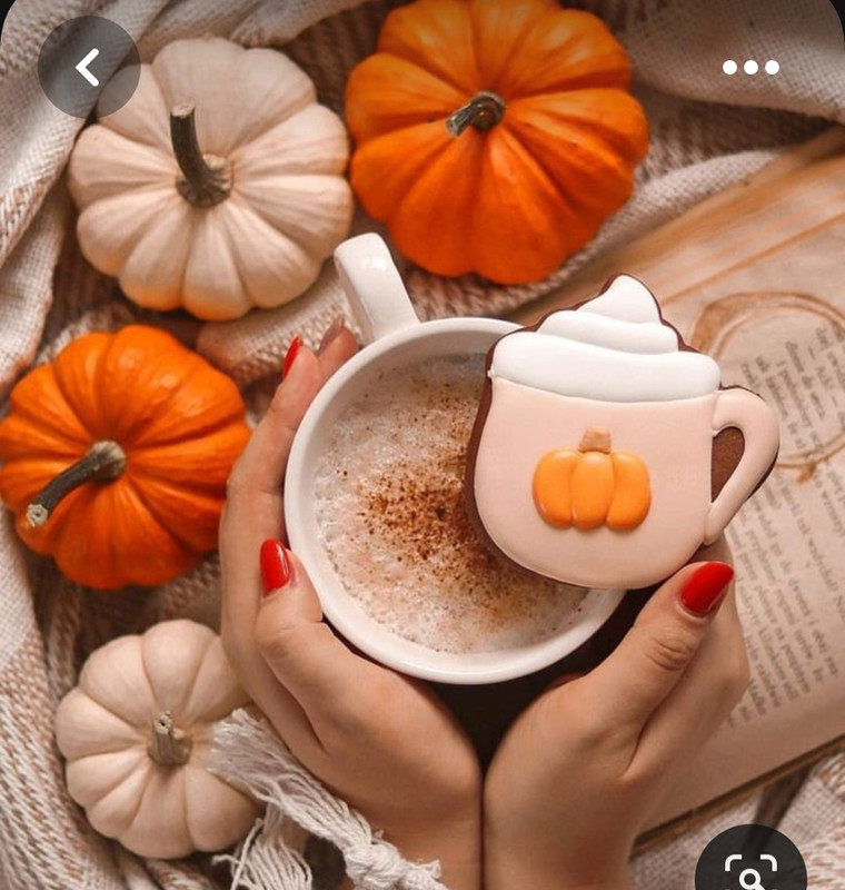 Screenshot_20230806_233829_Pinterest