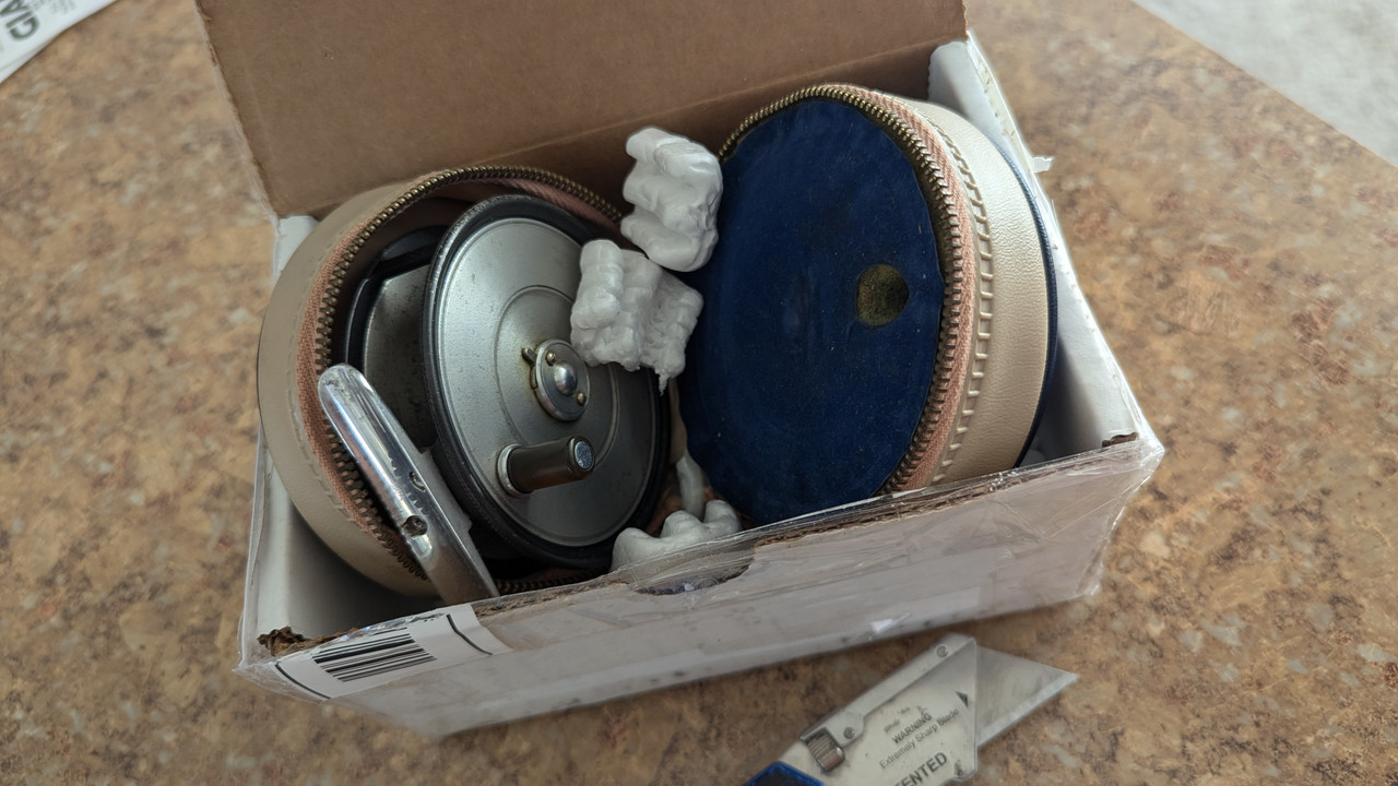 PXL_20241019_154800270