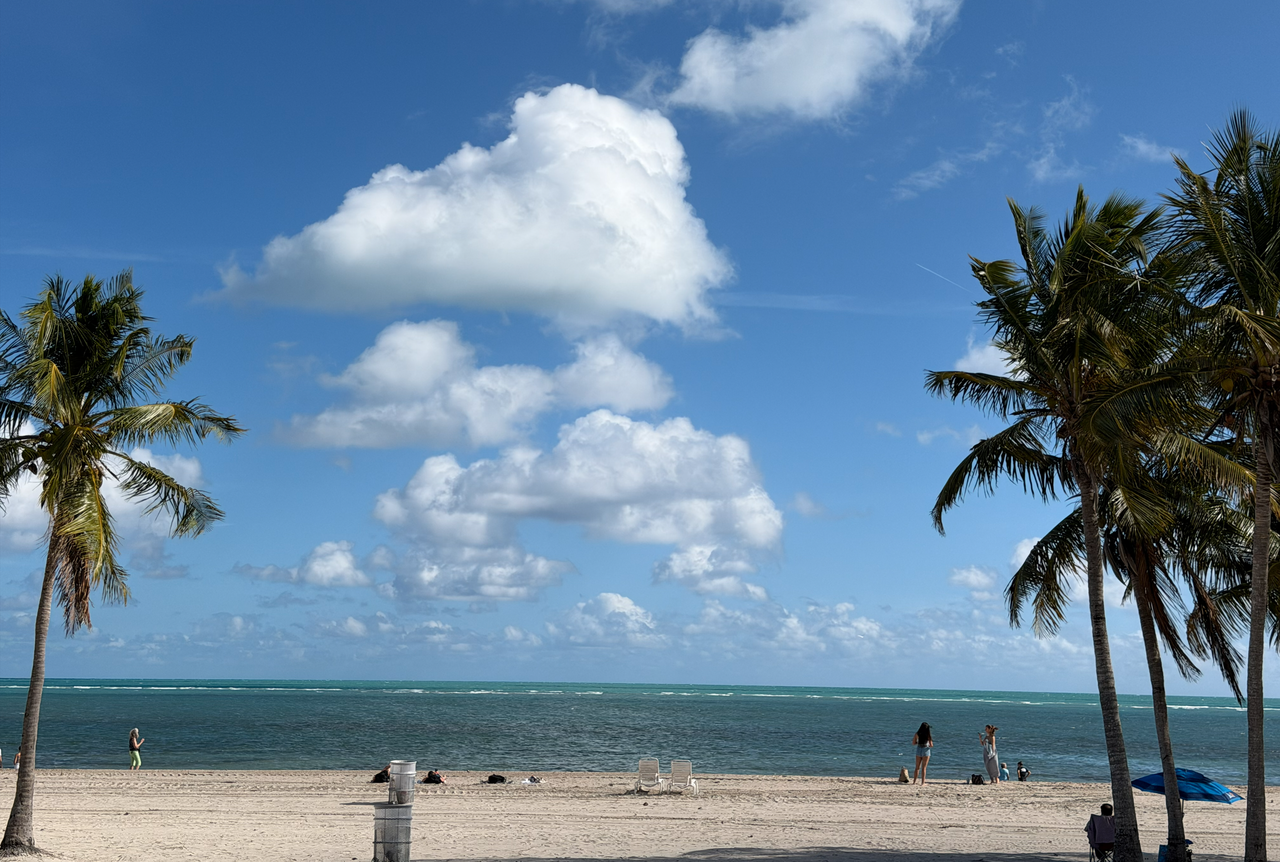 [Image: Crandon-Beach-On-Key-Biscayne2.png]
