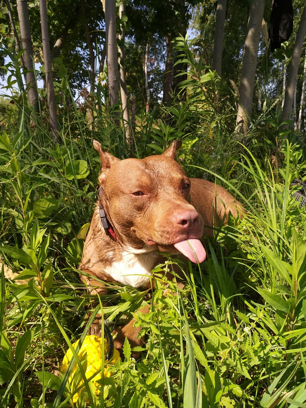 E47EA051-CDBB-4DBE-87A8-28A9DD3F1326