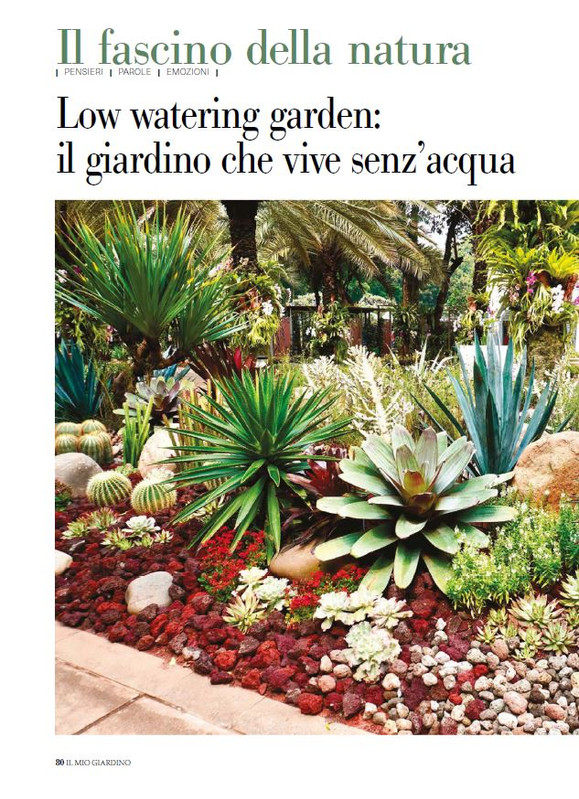 il mio Giar Feb Mar 2026 (5)