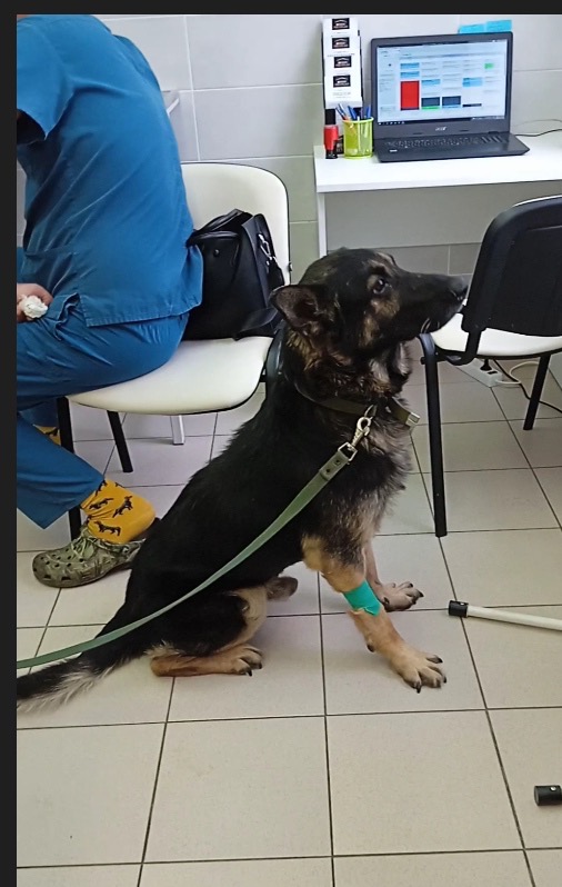 530B6E15-A594-402F-8111-B5797F76B507