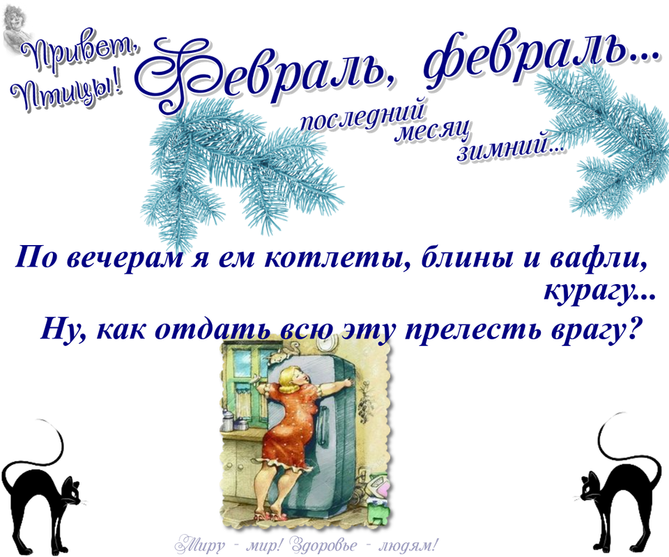 https://i.postimg.cc/PrRbXd4D/12-02.png