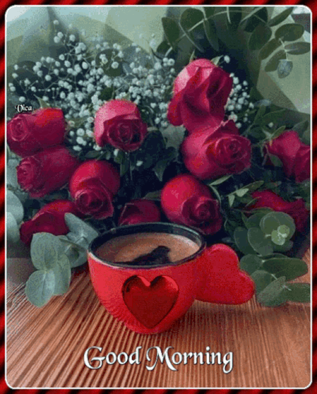 An den Beitrag angehängtes Bild: https://i.postimg.cc/PrRssC6V/oie-2482139-Lw-FQVKbf.gif