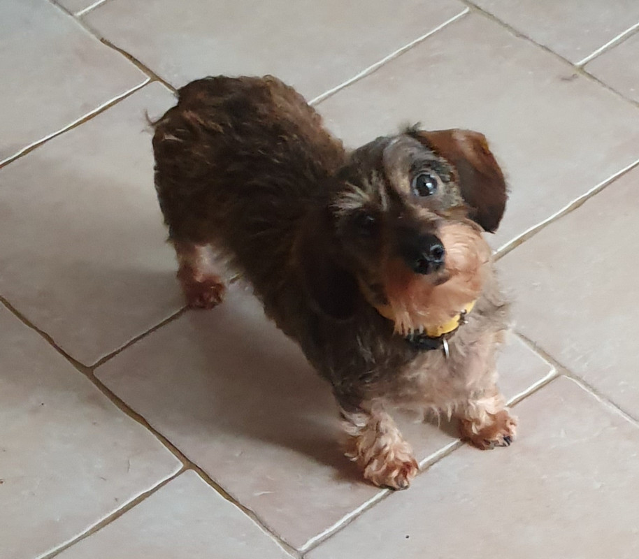 [Image: 20221013-134319.jpg]