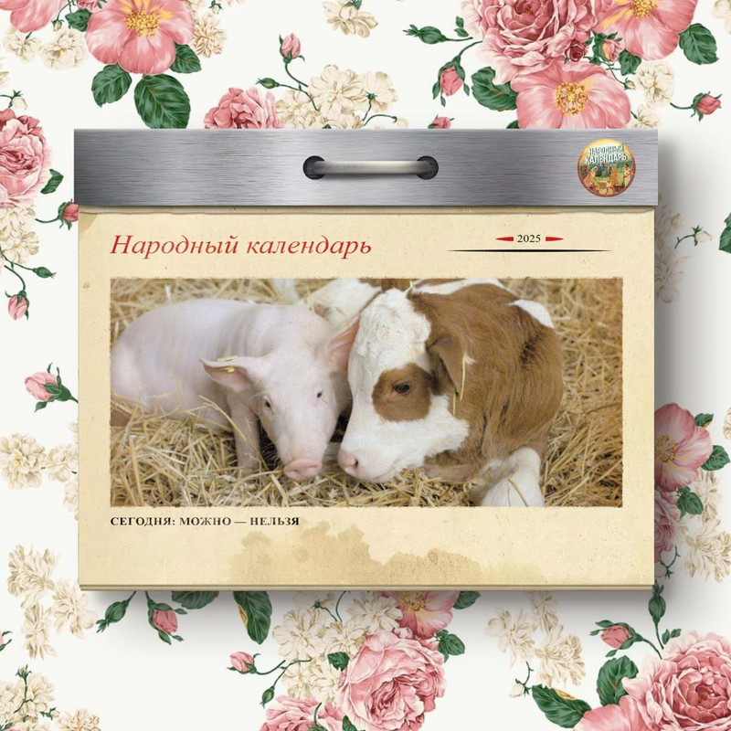 [Изображение: photo-2026-01-05-06-31-52.jpg]