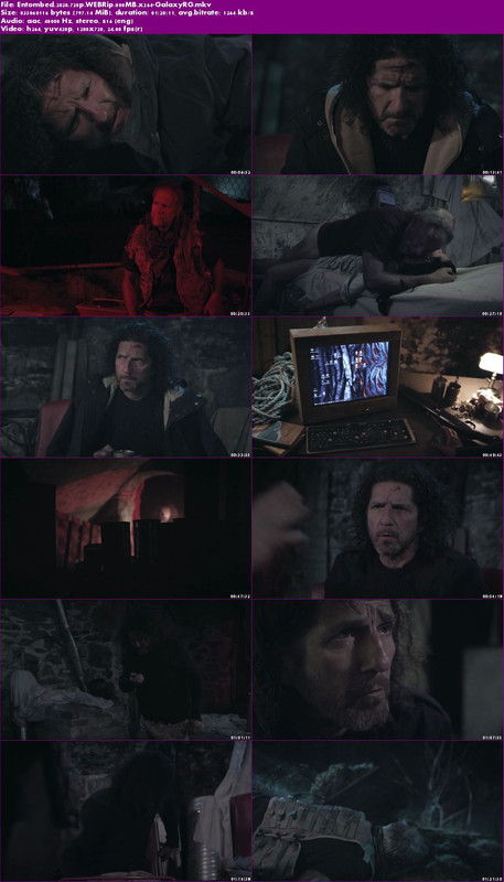 Entombed-2020-720p-WEBRip-800-MB-x264-Galaxy-RG.jpg