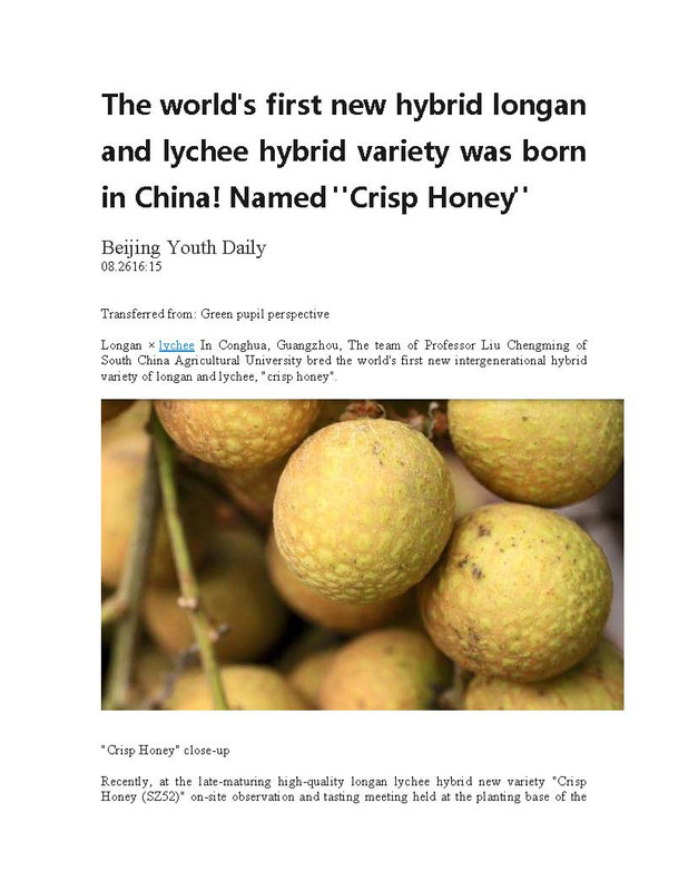 Hybrid_Longan(pdf)_Page_1