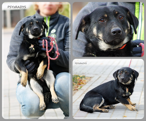 BeFunky-collage (19)