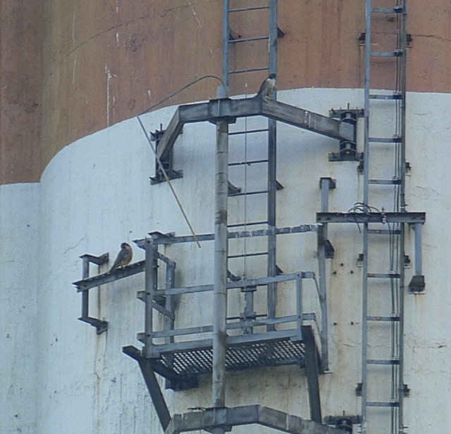 PGE Lublin Poland Przechwytywanie-w-trybie-pe-noekranowym-03-06-2019-221226