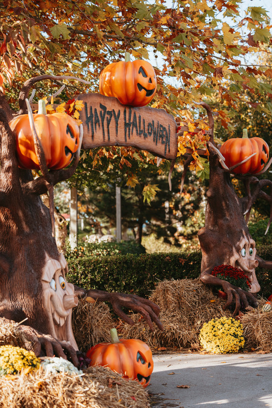 Halloween Bagatelle 2025 Elisa Marq Photography 209