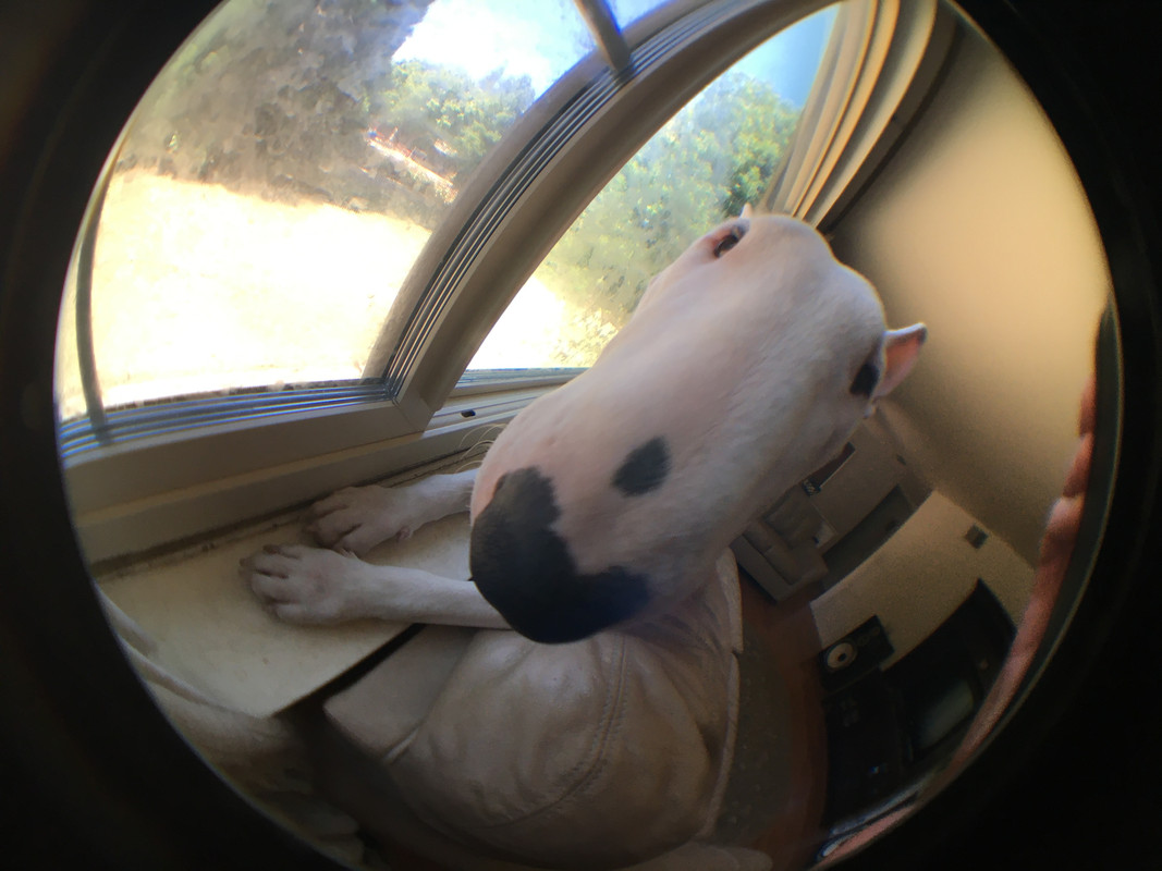 21052972-C894-44BA-BE7F-5719BA91D171