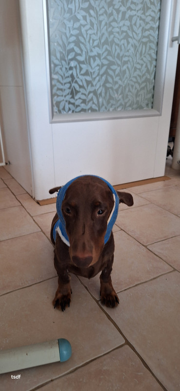 [Image: 20250817-090822.jpg]