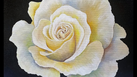 Painting White Rose Step by Step