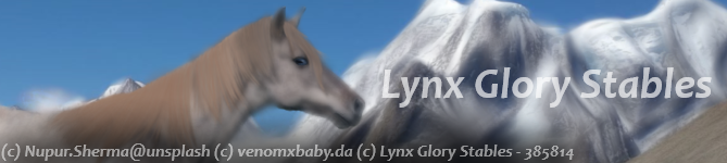 Mountain-Grullo-Bnr.png