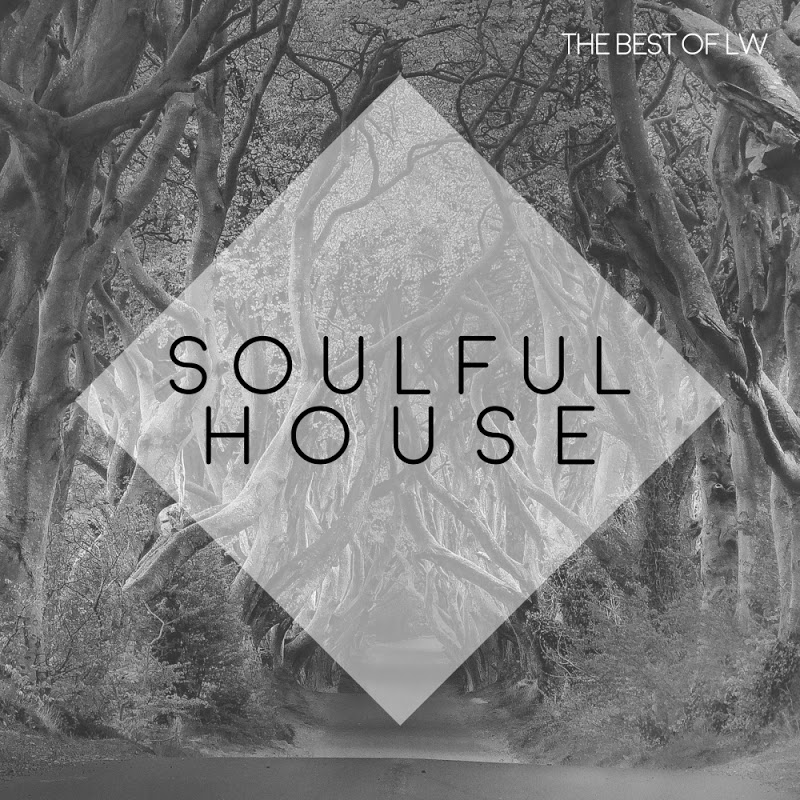 VA - Best of LW Soulful House III (2019) .mp3 -320 Kbps