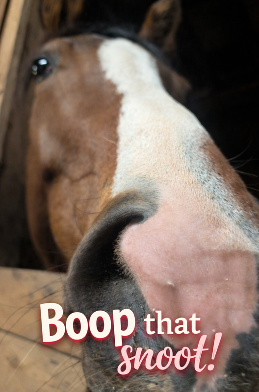 Screenshot 20260215 173115